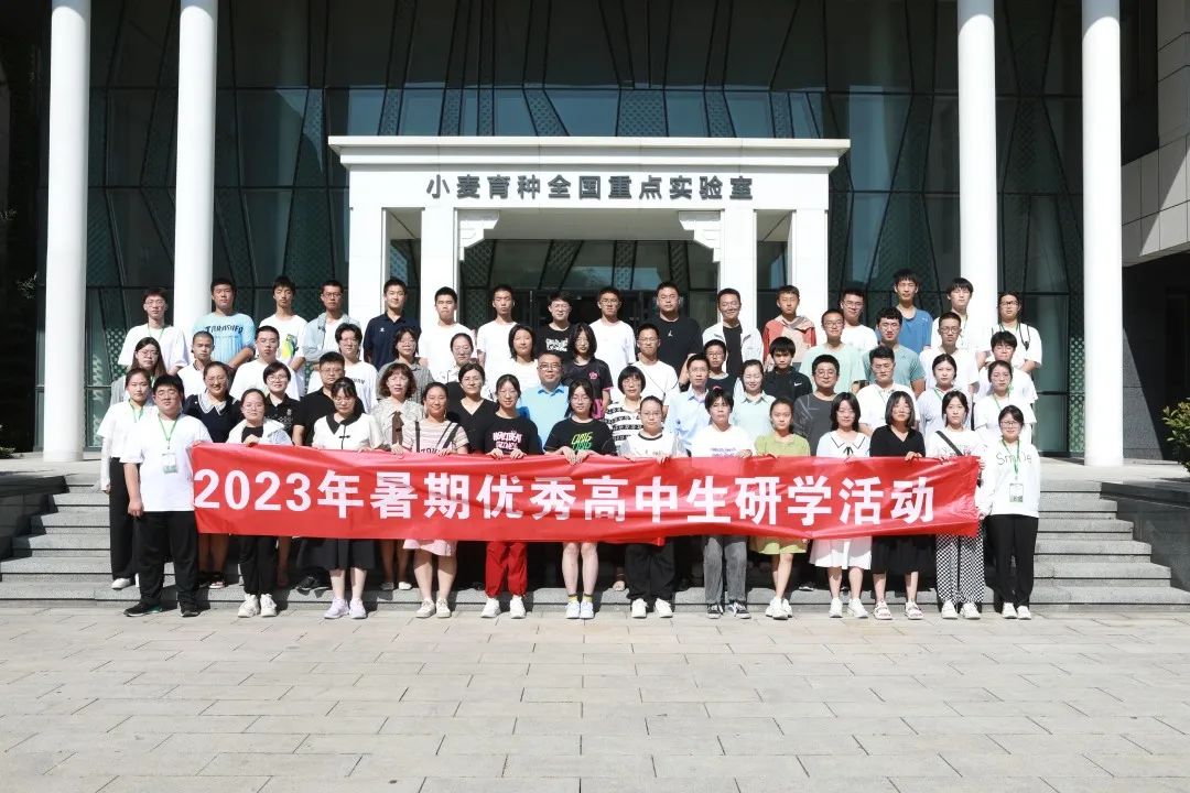 帝豪国际