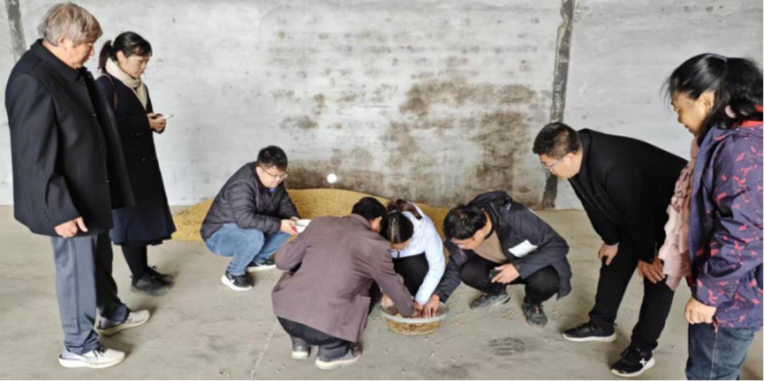 帝豪娱乐官网正规渠道与中国农大联合开