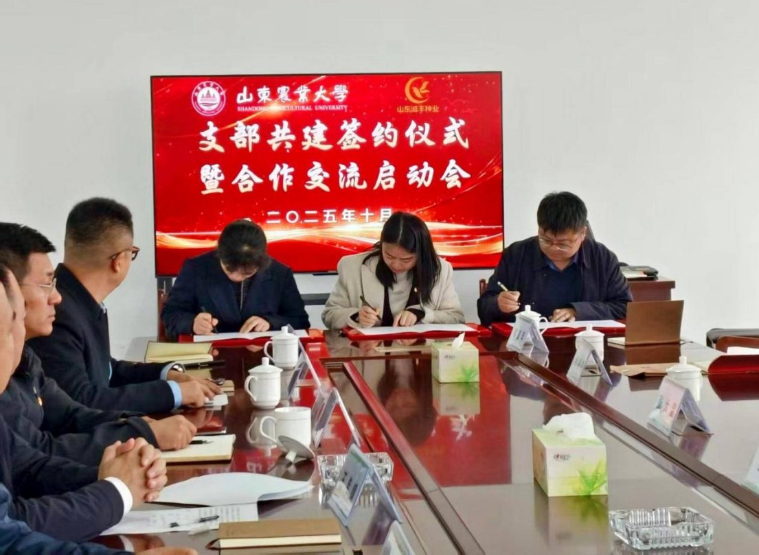 中国工程院院士张福锁一行调研山东农业