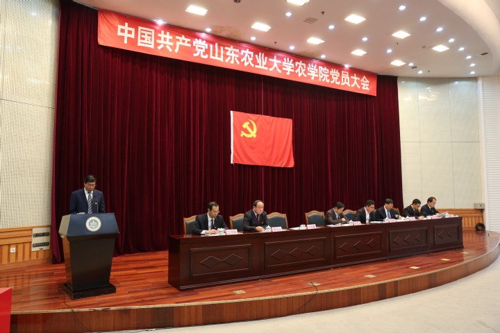 提出新一届帝豪国际官网规则须知帝豪国