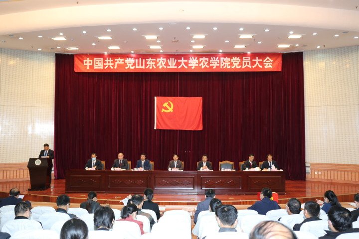 大会总结近年来的工作