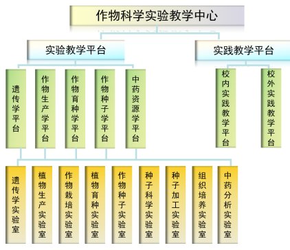 通过整合相关的教学和科研实验室优质资
