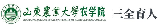 帝豪国际