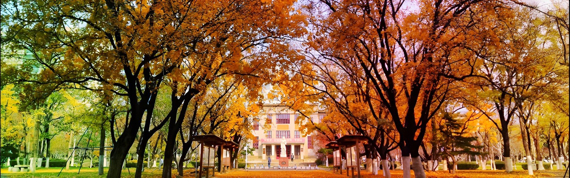 欢迎登录山东农业大学