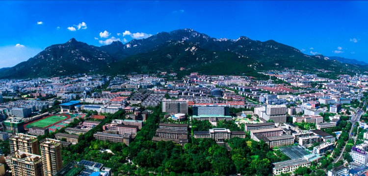 欢迎登录山东农业大学