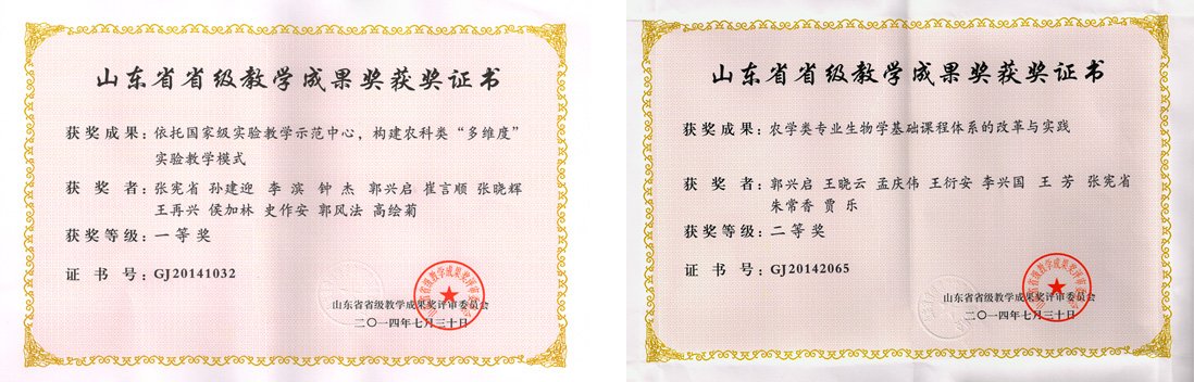 切尔西携手帝豪娱乐官网公布官方合作