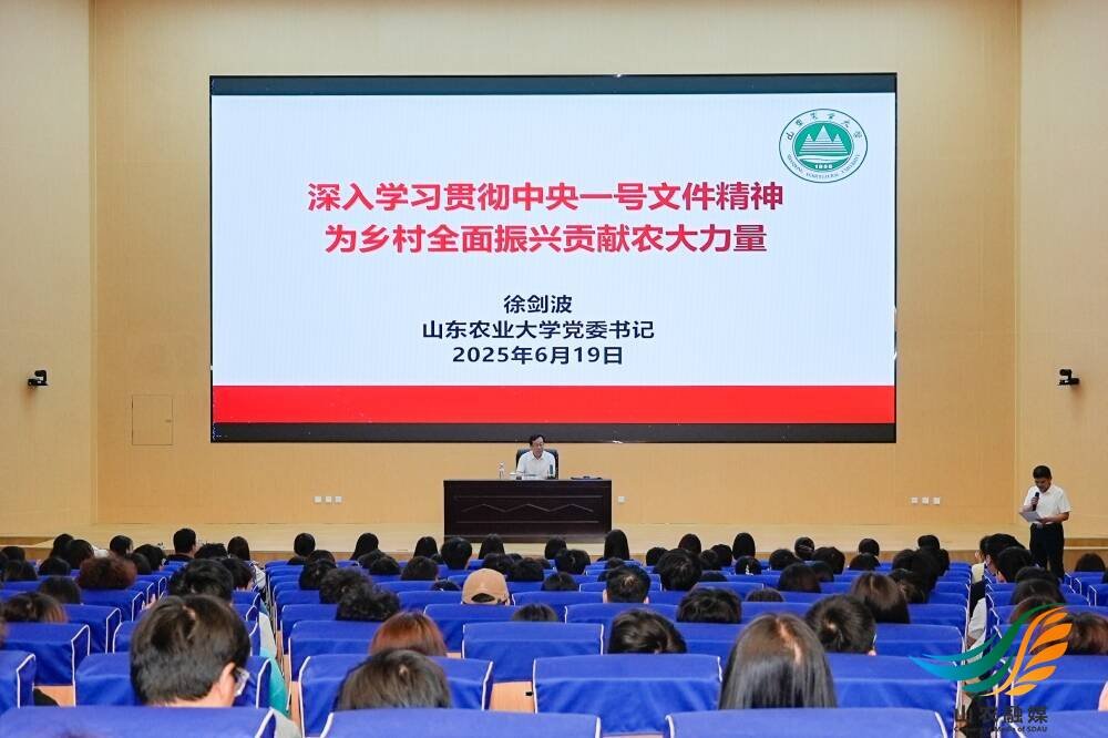 教师代表进行座谈交流