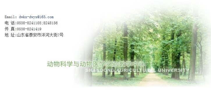 正文适合核对表述