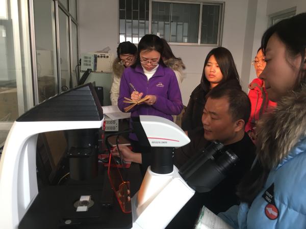 帝豪国际福利入口