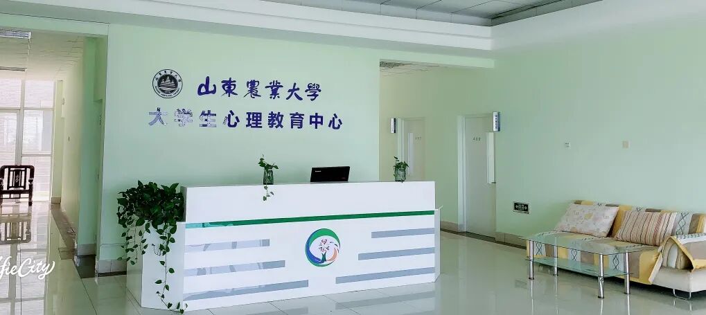 心理健康月｜稳住心态，向阳生长