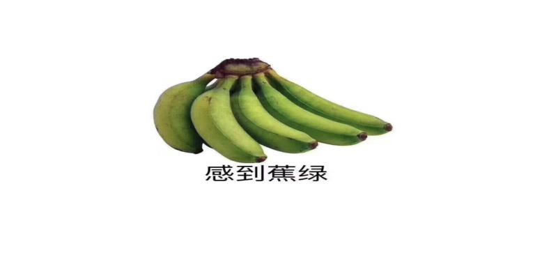 心理健康月｜稳住心态