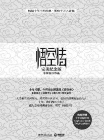 追风筝的人