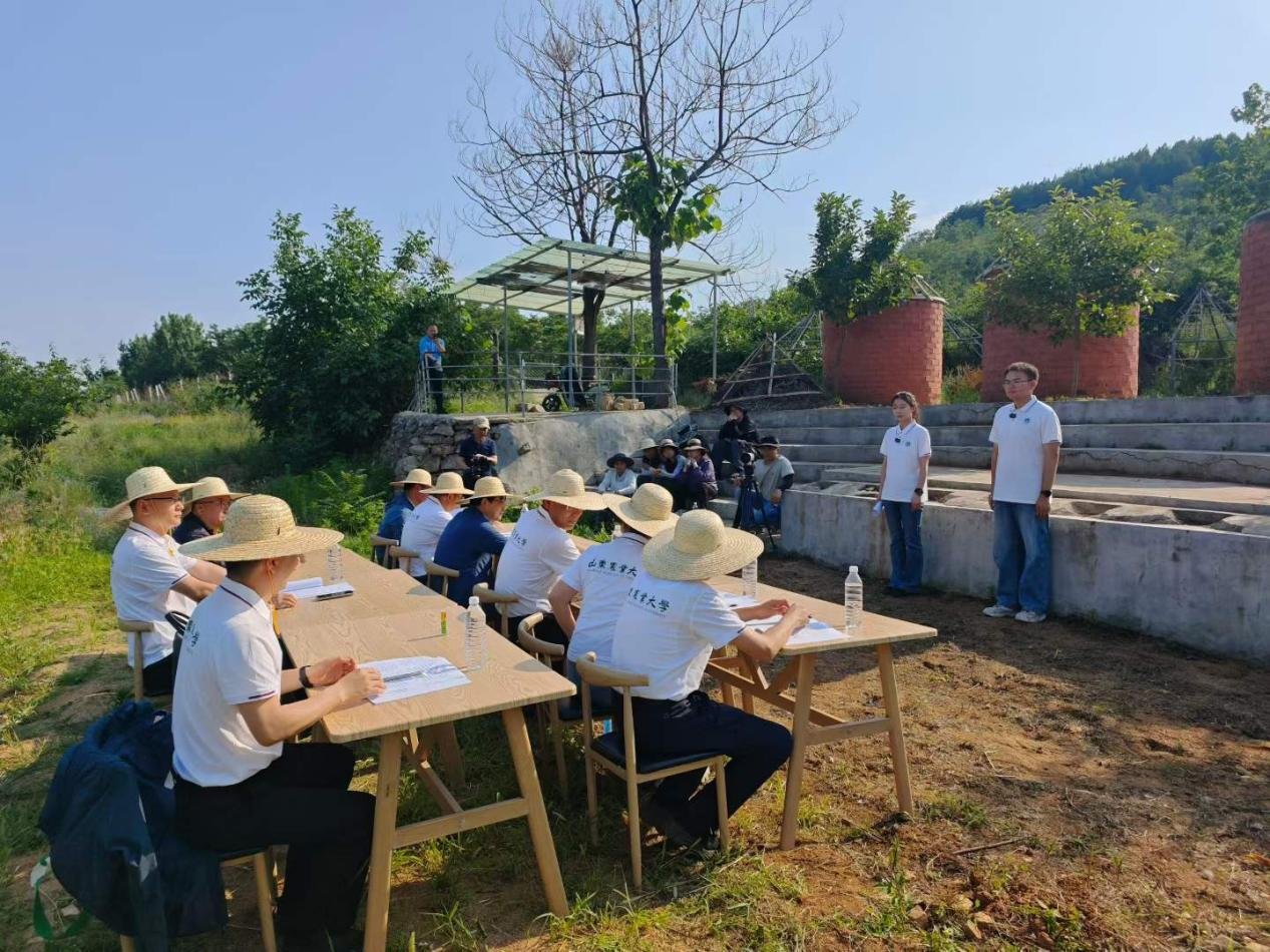 帝豪国际官网常用功能在临沂市沂南县邵