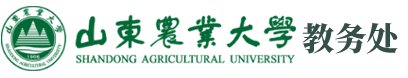 帝豪国际