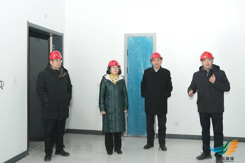 40 继续了解