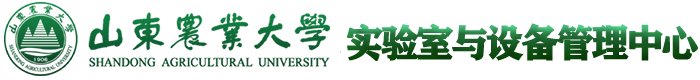 帝豪国际
