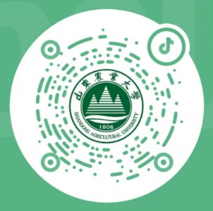 鲁ICP备05002369号