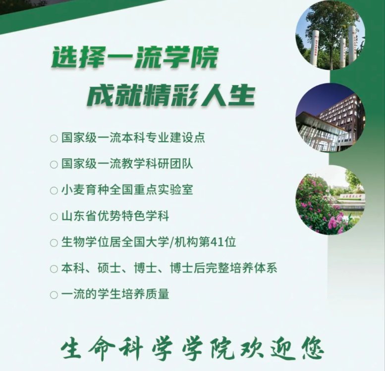 山东省泰安市岱宗大街61号