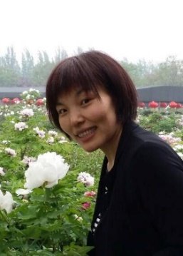 职 称