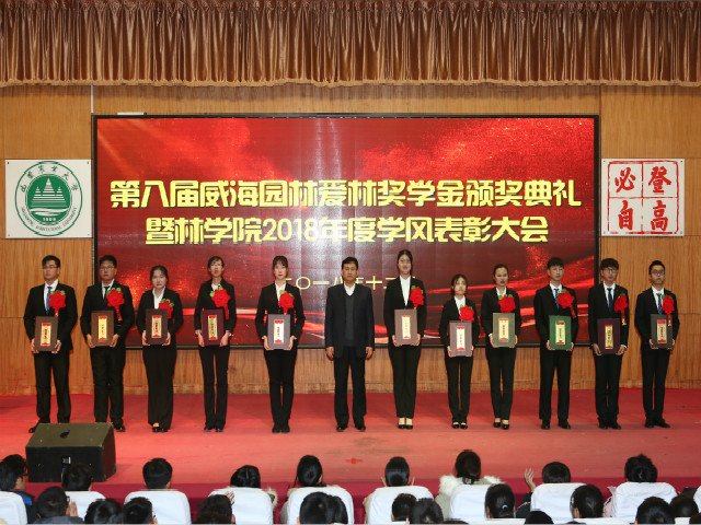 校团委书记孙丽