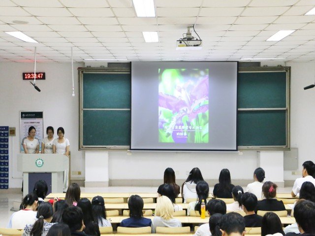 知识绽芳华
