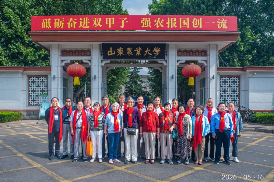 继续了解他们相约在林帝豪国际正版官网