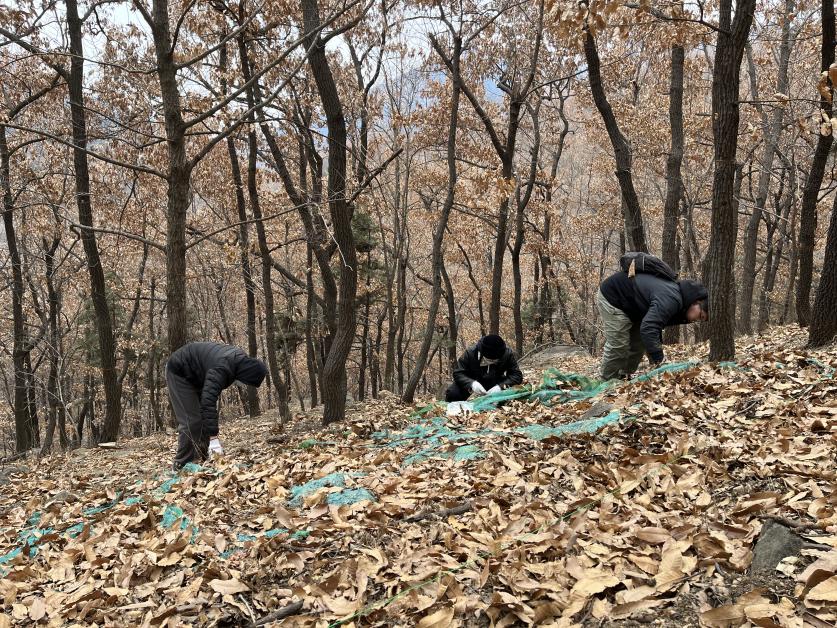 林帝豪国际官网正规渠道多措并举统筹规