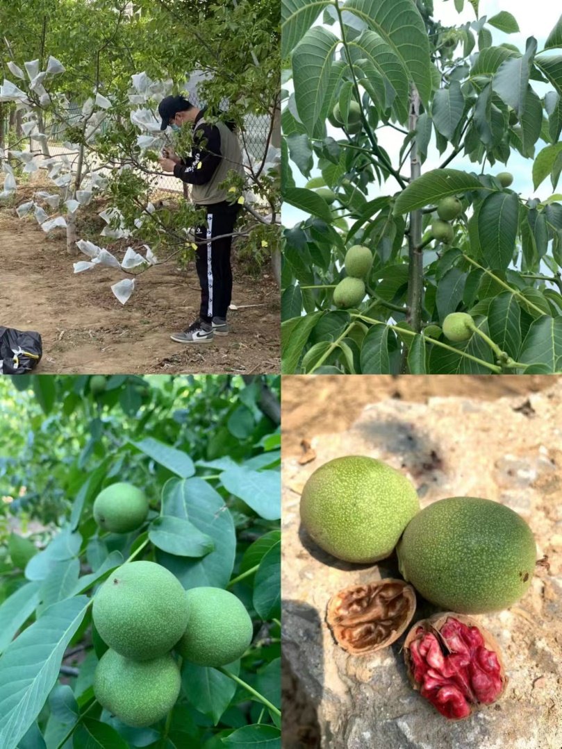 木材实习车间1651平方米