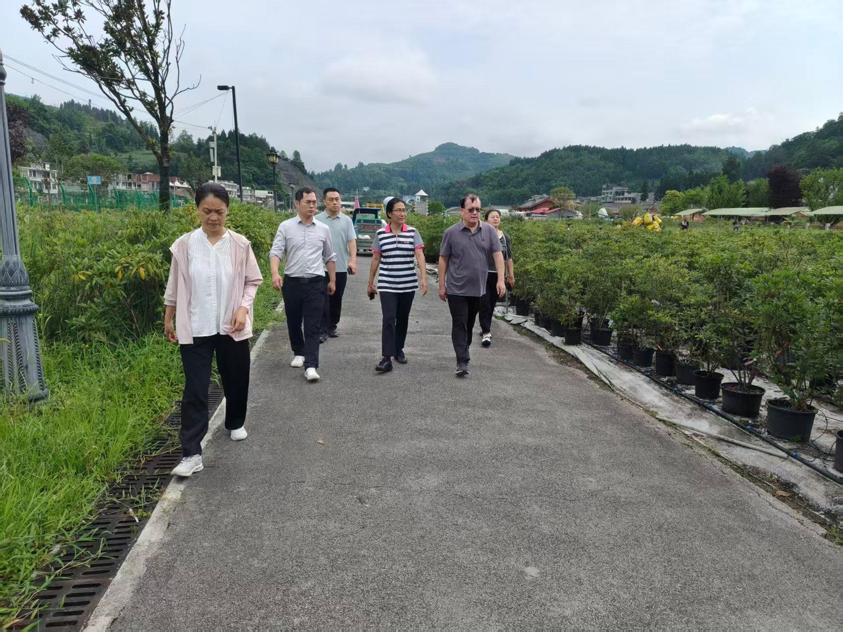 夯实校企协同育人平台