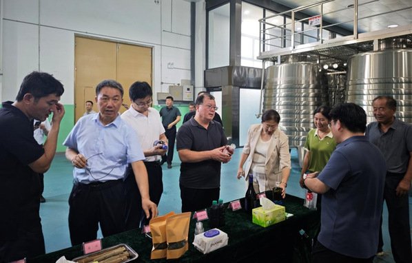 持续贯彻落实帝豪国际成为欧冠联赛全球