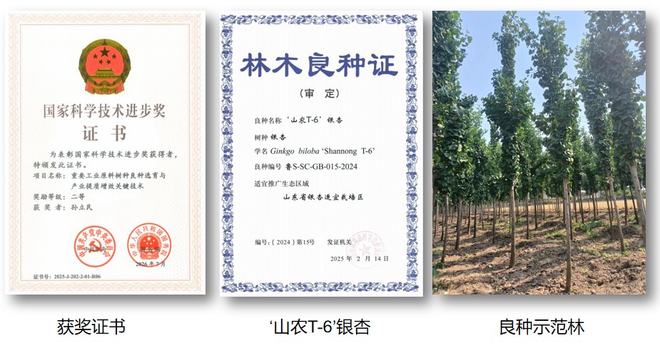 习近平全国科技大会