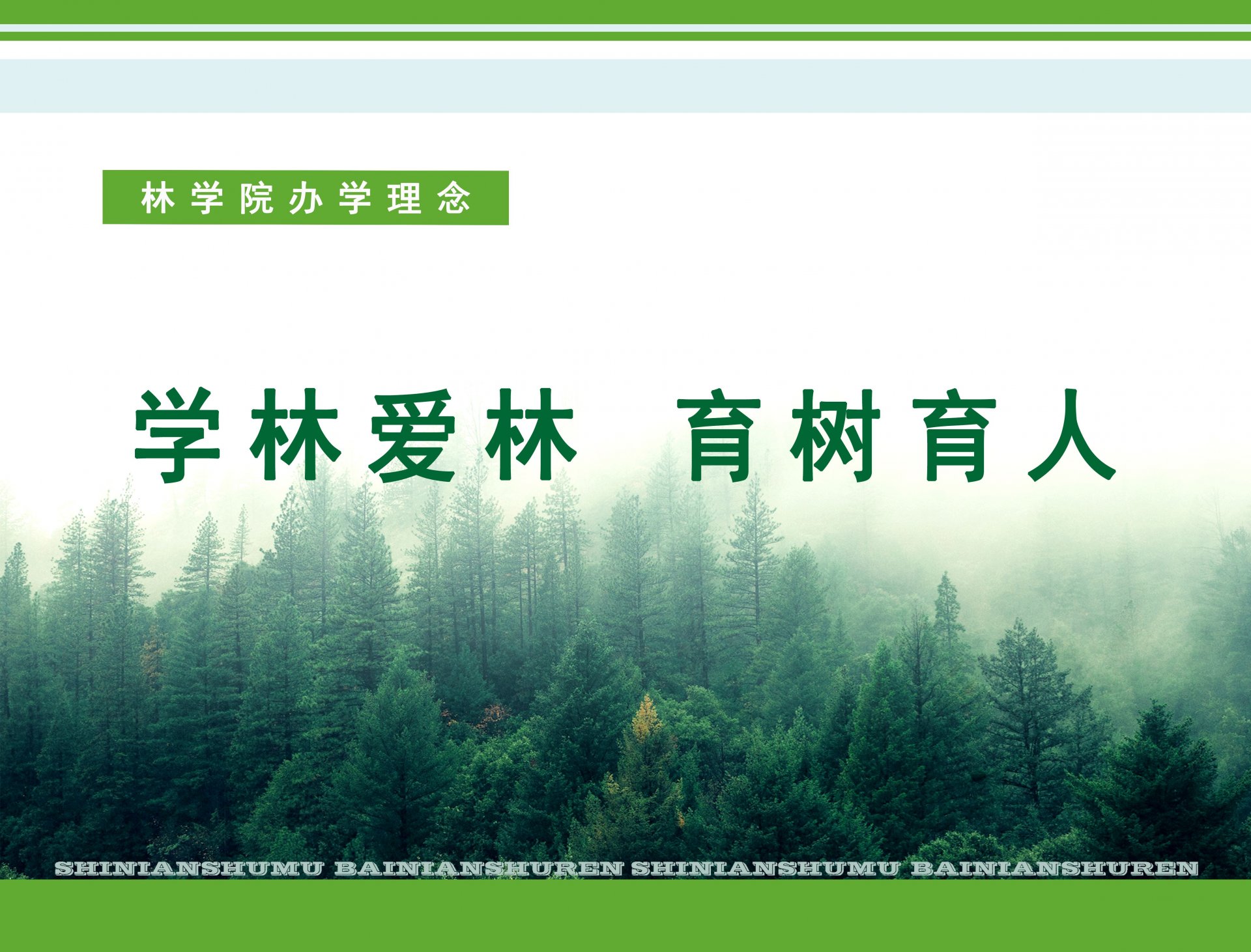 一、帝豪国际手机版登录徽标