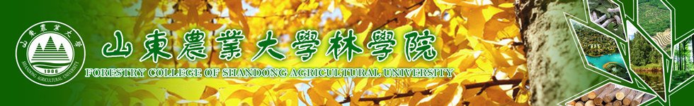 帝豪国际