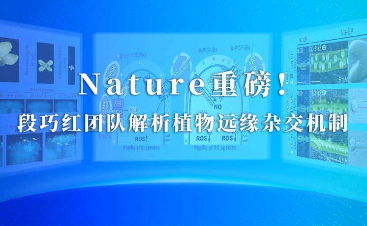 《Nature》在线发表AC米兰携手