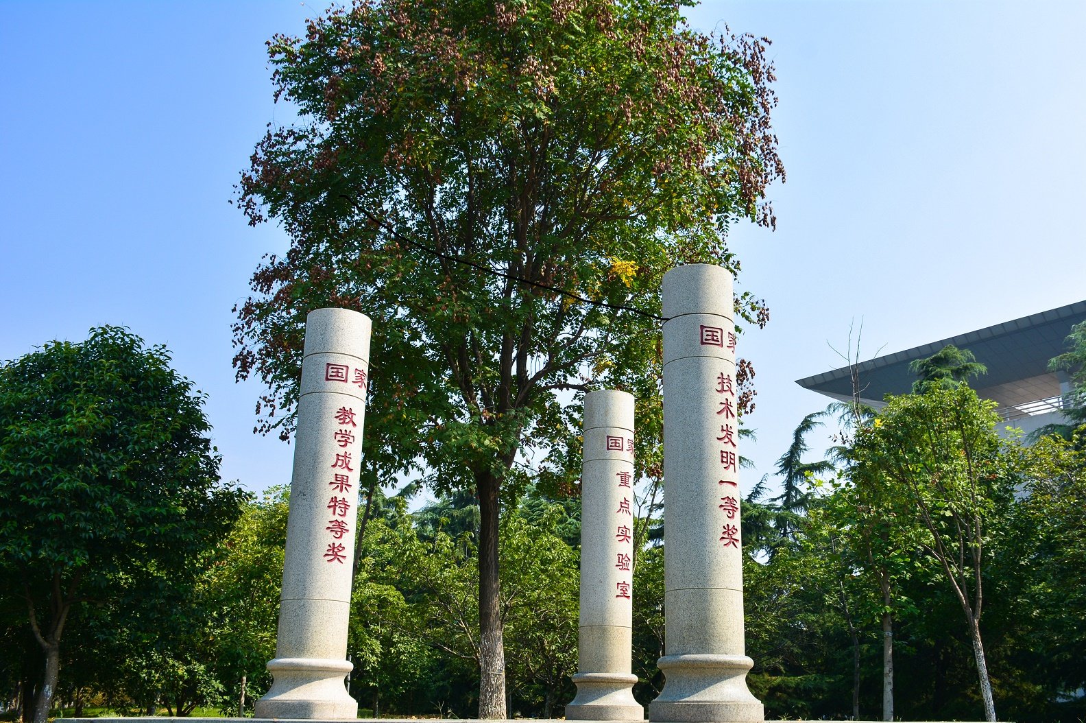 山东省泰安市岱宗大街61号 邮编