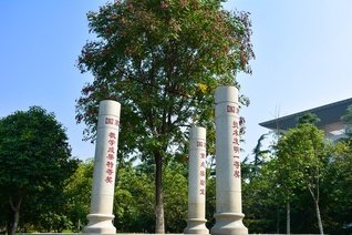 花团锦簇