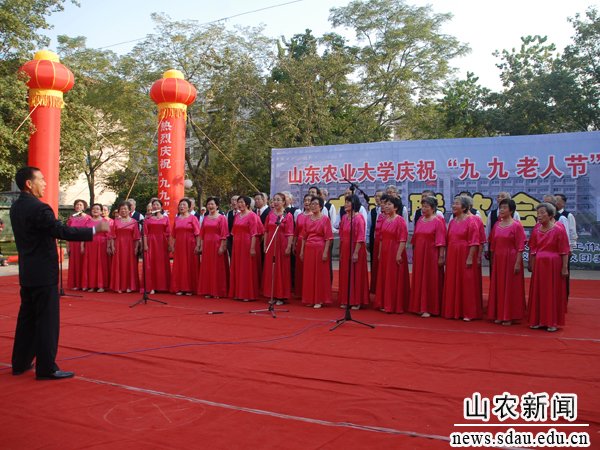 观看精彩的文艺节目