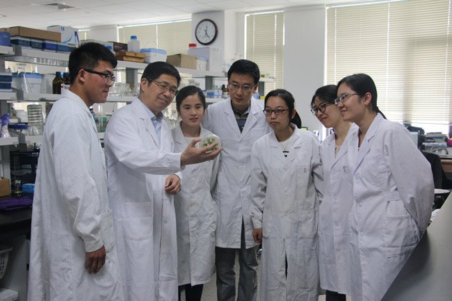 中国科学报刊发长篇通讯《撑起作物生物