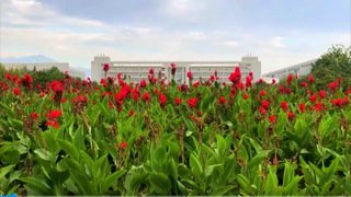 这清晨，很山农