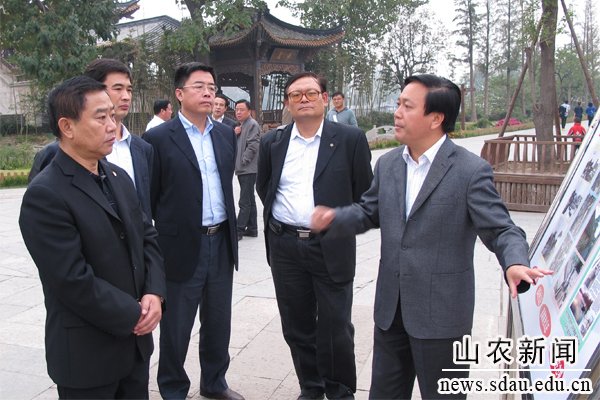 专家组考察台儿庄古城建设情况