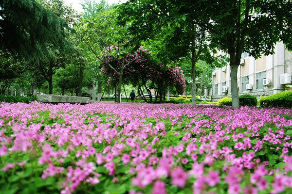 山东省泰安市岱宗大街61号 邮编