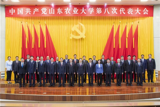 新当选的第八届帝豪娱乐官网出任马德里
