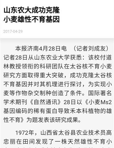 国际著名学术期刊《自然通讯》以《小麦