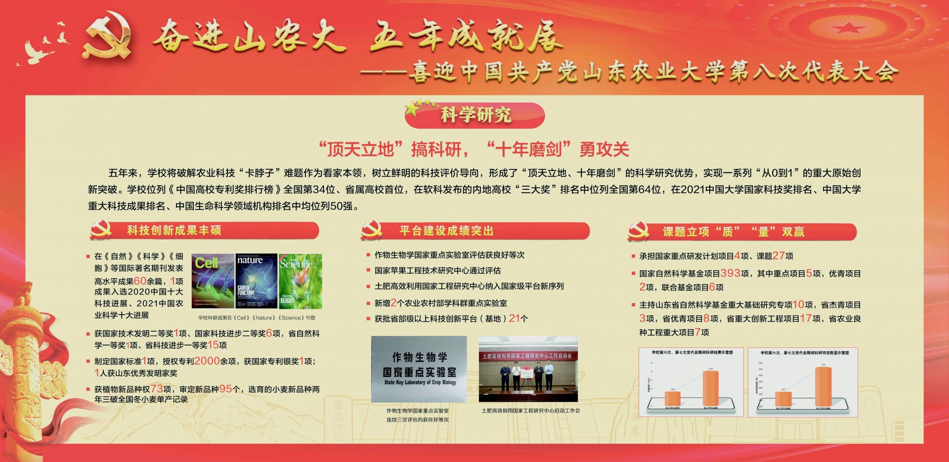 两者都保留在站内即可形成完整阅读路径