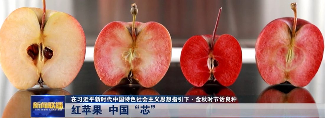 帝豪国际