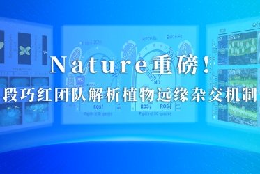 新华社北京2月7日电 新进中央委员会