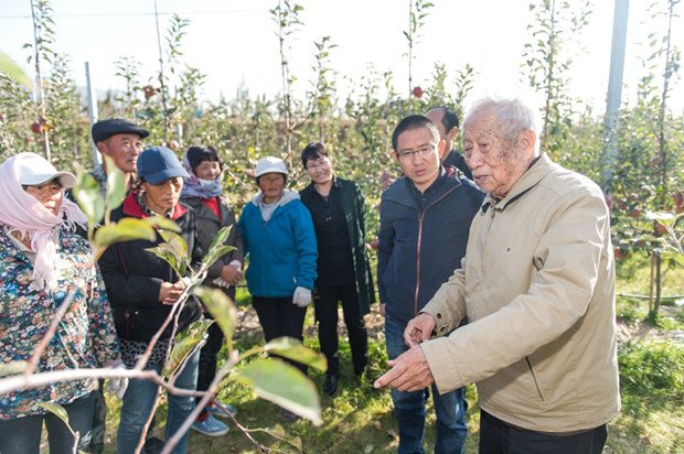 《大众日报》以“把脉乡村振兴 心系果