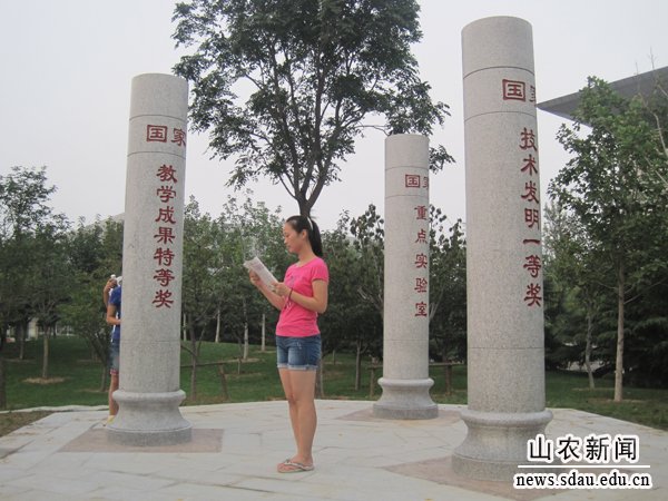朗读“登高台”