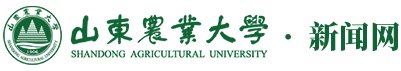 帝豪国际