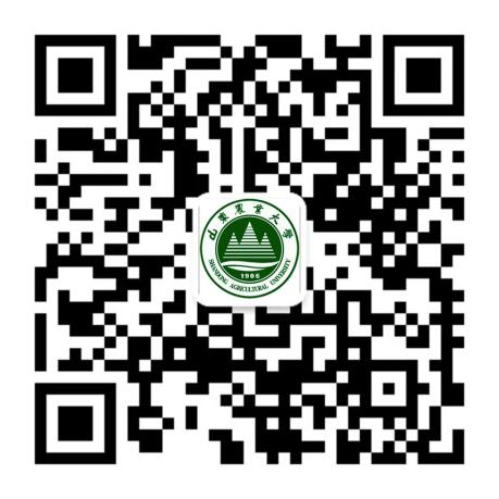 锚定“冲一流”建设目标